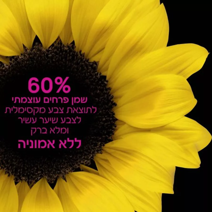 צבע לשיער Garnier Olia - גוון 3 חום שחור