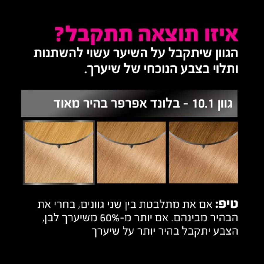 צבע לשיער Garnier Olia - גוון 10.1 בלונד אפרפר